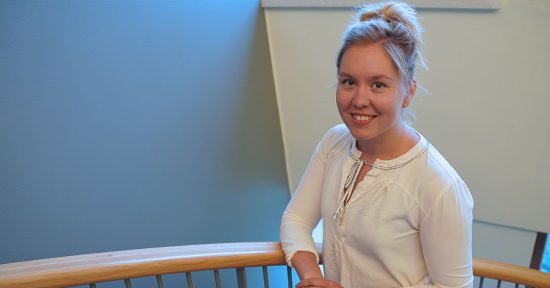 Verkostot liikenne- ja viestintäministeriön työn tukena
