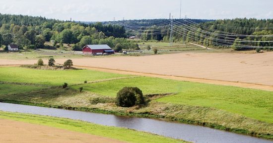 Järjestökenttä tietotalousosaamisen välittäjänä maaseudulla