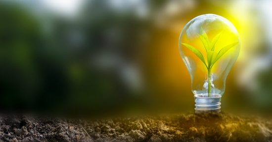 Green ICT -ekosysteemi käynnisti toimintansa