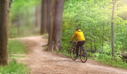 TIEKE antaa vauhtia yritysten datapolulla